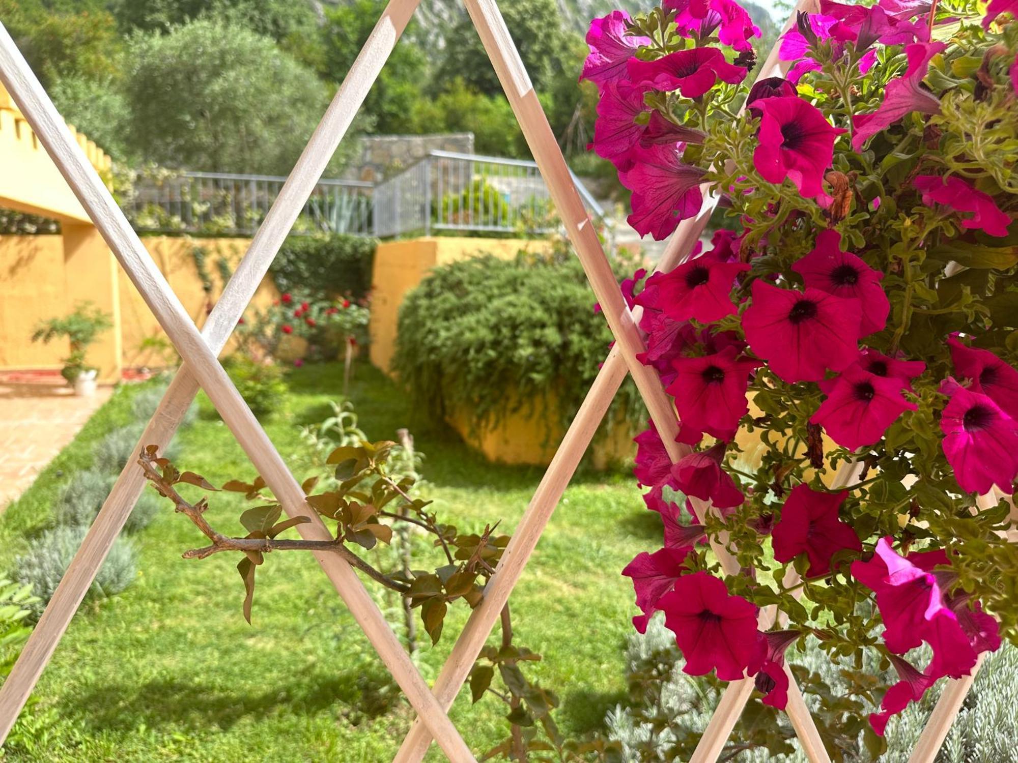 Villa Risan Apartments Dış mekan fotoğraf