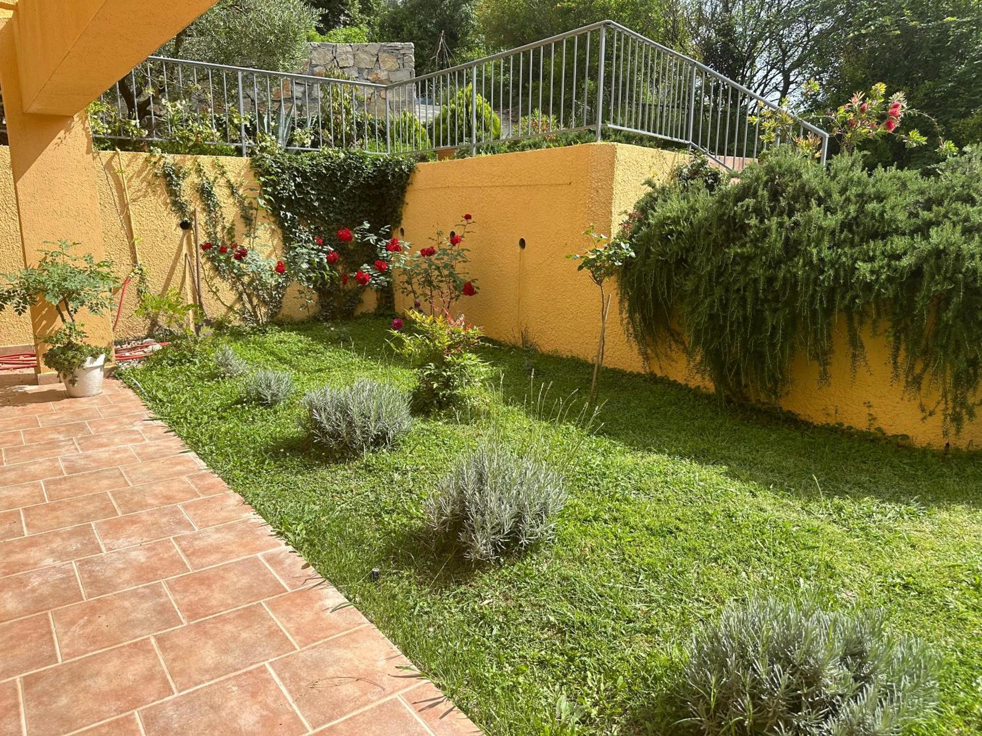 Villa Risan Apartments Dış mekan fotoğraf
